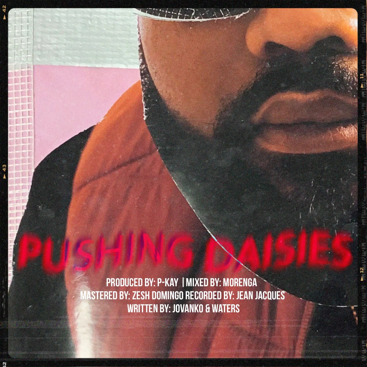 Sixteen single artwork Pushing Daisies.